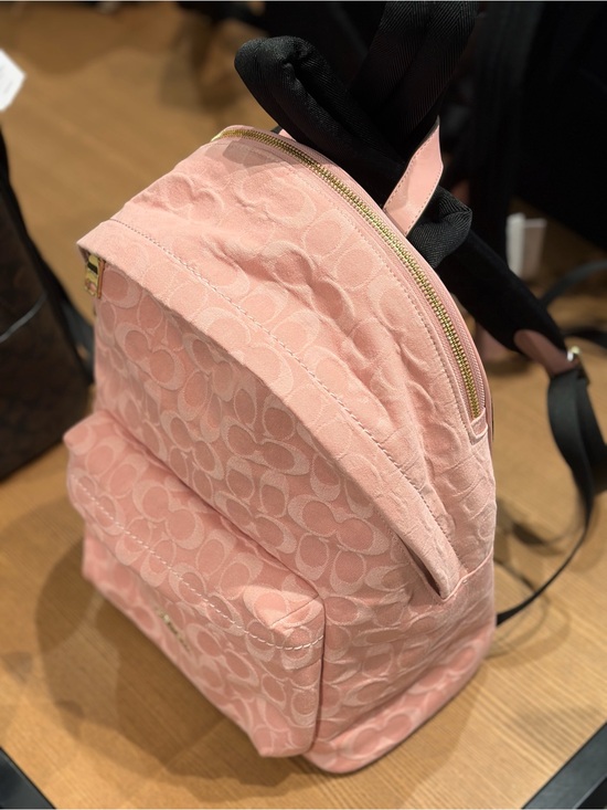 Coach Taylor Small Backpack
In Signature Denim